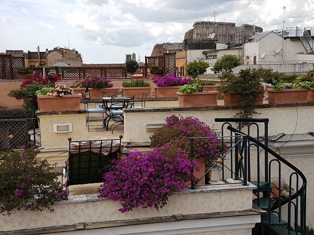 Suite Terrace